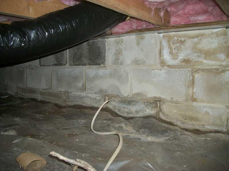 Crawl Space Repair Crawl space repair in Berlin, MD White chalky