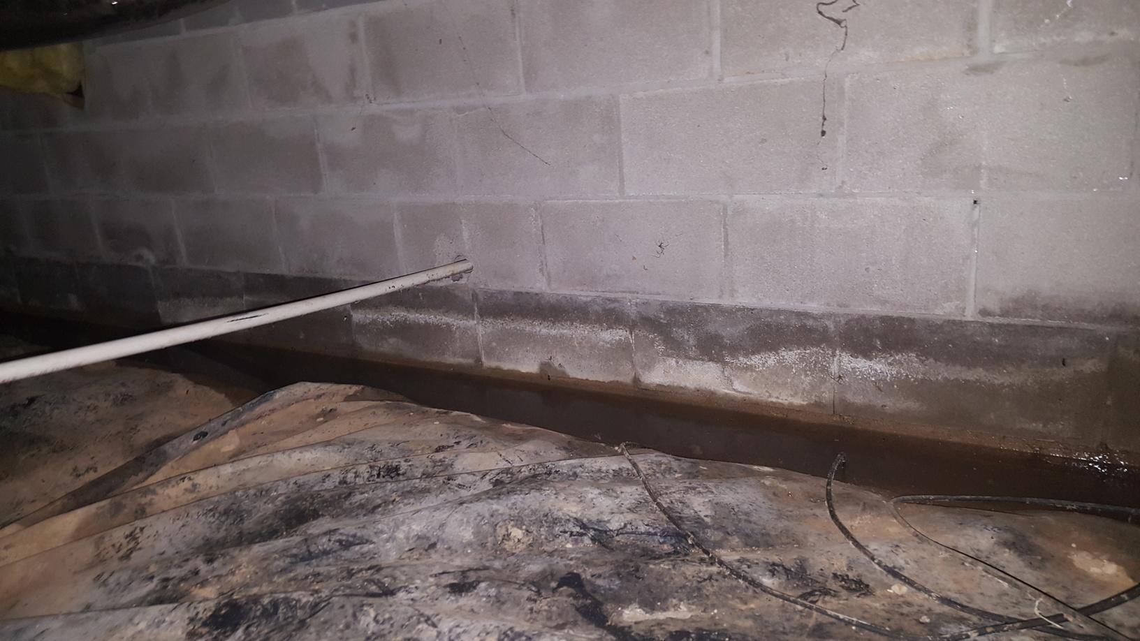 Crawl Space Repair CleanSpace in Clarksville, TN! Concrete