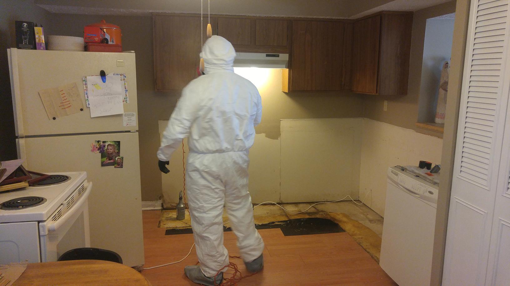 Our Mold Removal Services Red Bank, NJ Mold Remediation Due to