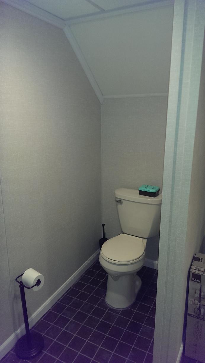 Basement Remodeling Gallery In Home Spa In Hales Corners, WI Toilet