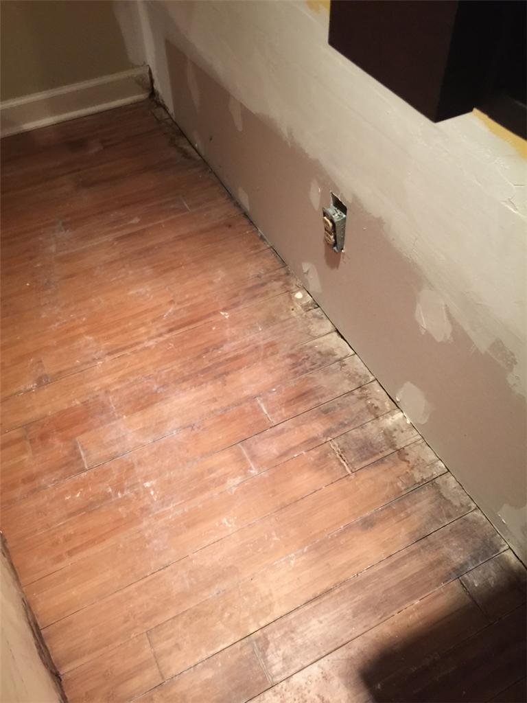 Wet Basement Area In Need Of Waterproofing Mold Water Damage In Wet Basement Area In Need Of Waterproofing Mold Water Damage In