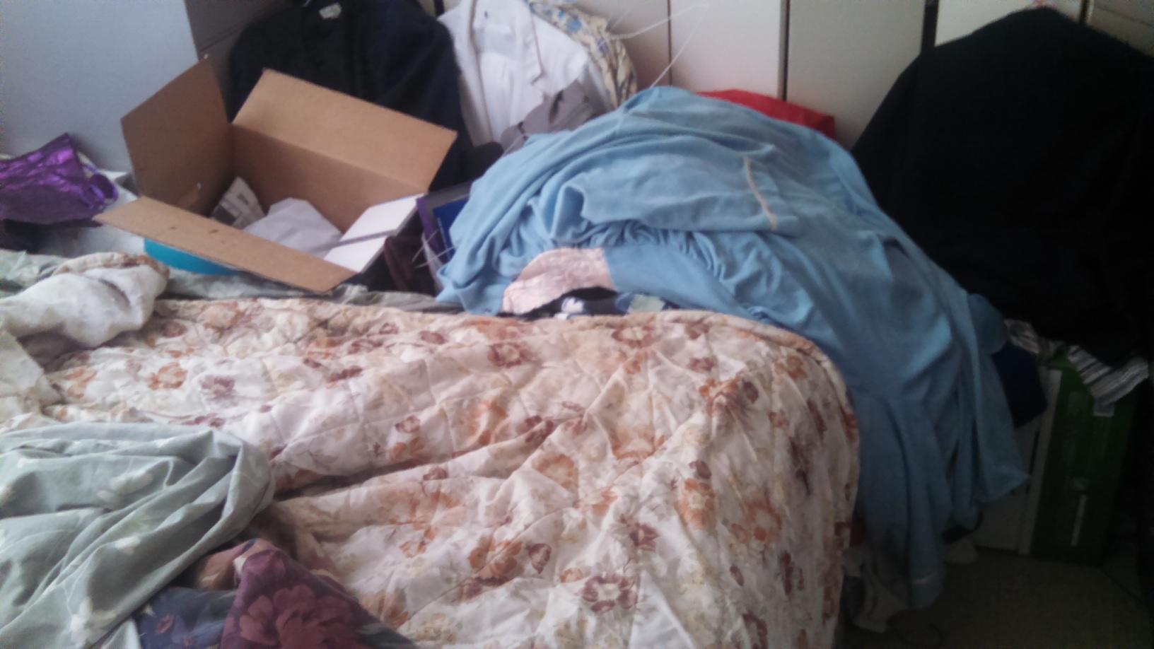Pests We Treat Extreme clutter leads to challenging bed bug