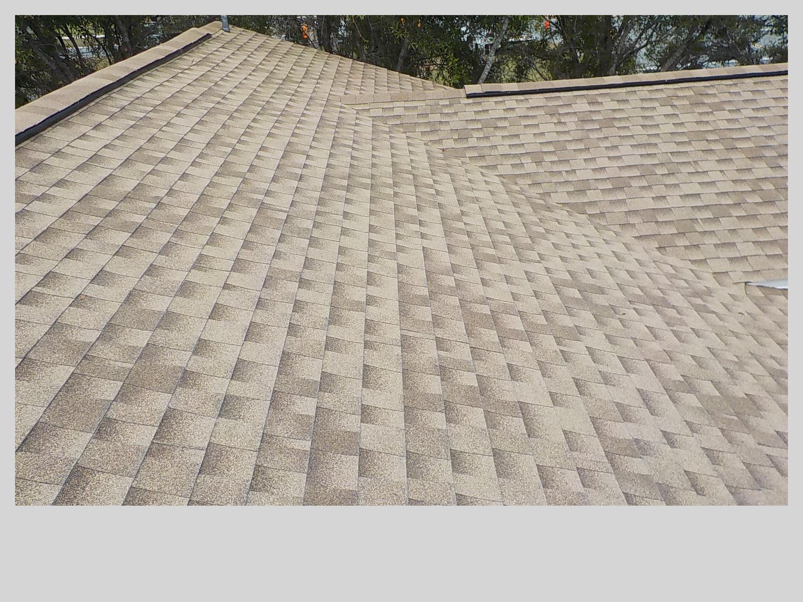 Residential Roof Replacement Shingle Replacement in St. Petersburg