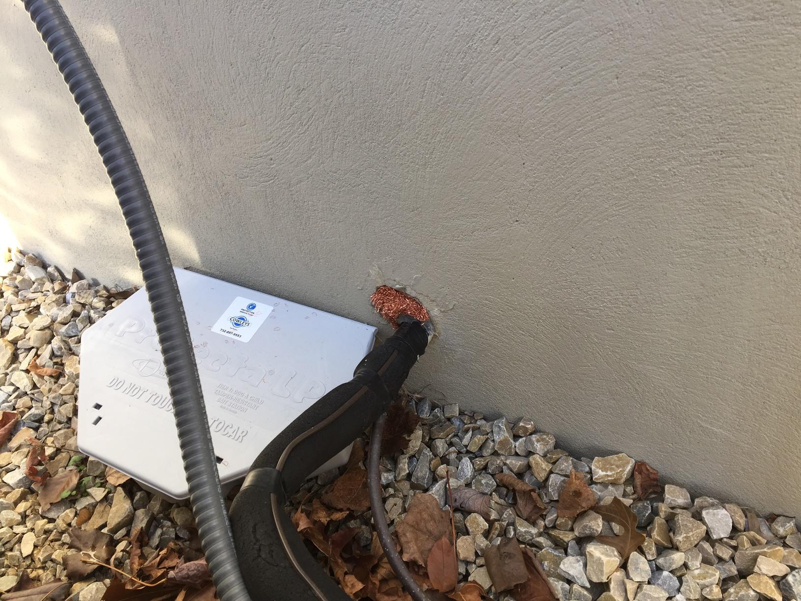 Pests We Treat Rodents find easy access to Keasbey, NJ home Using