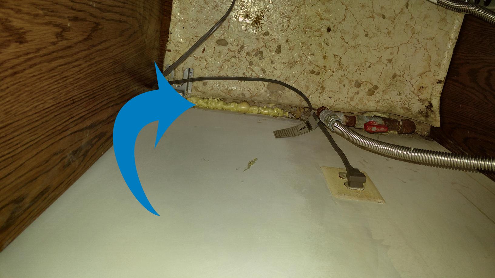 Mice findin Highland Park home Better DIY mice exclusion