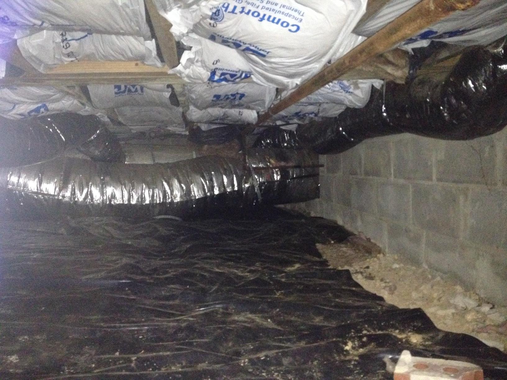 Crawl Space Repair CleanSpace in White Bluff, TN! Exposed dirt