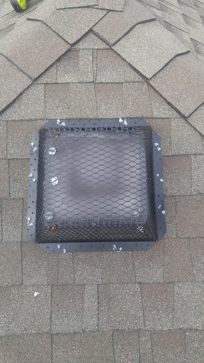 Wildlife Removal Excluding wildlife from home near pond and woods in