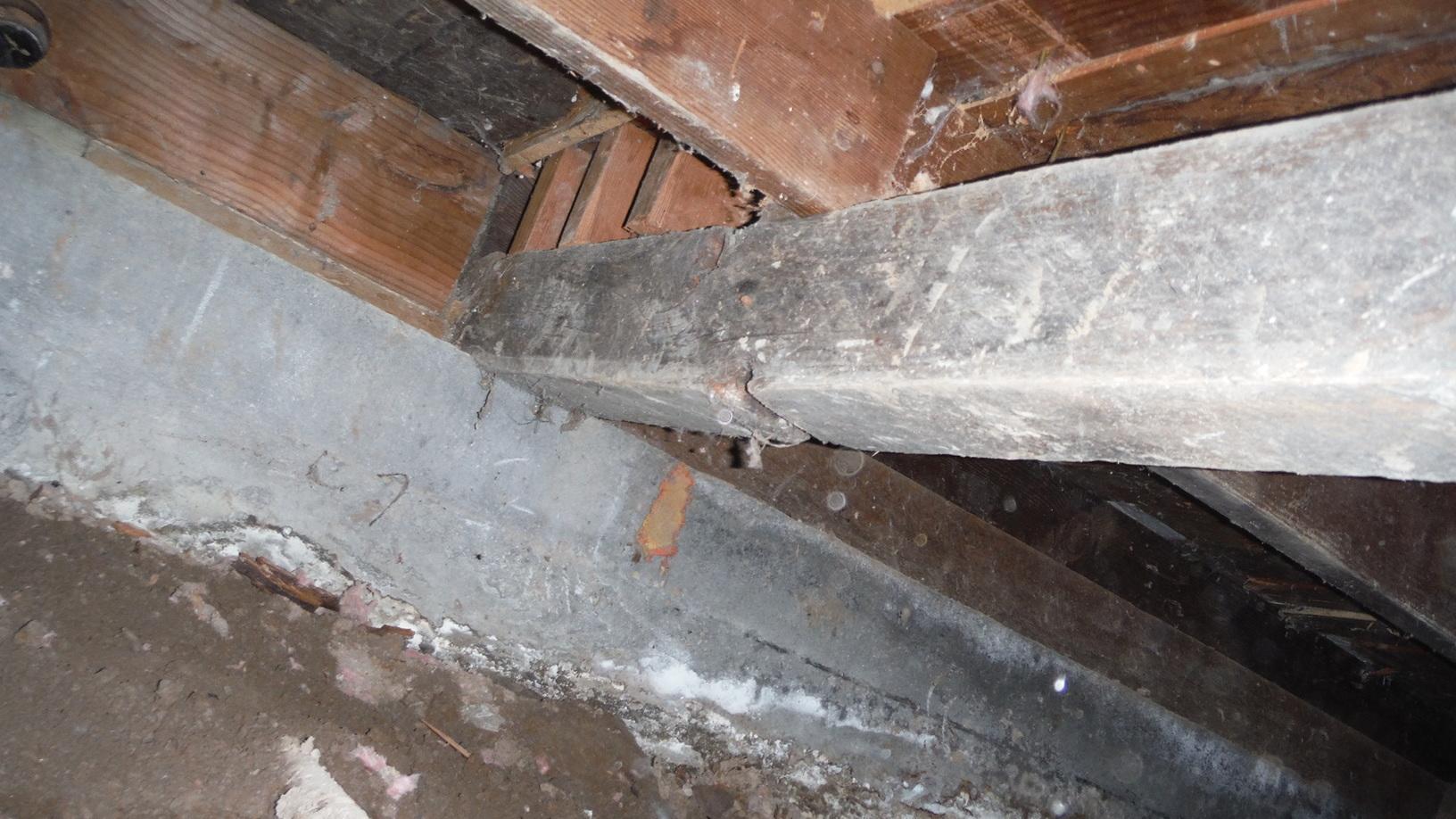 Crawl Space Transformation in Portland Oregon Mold consuming a foundation
