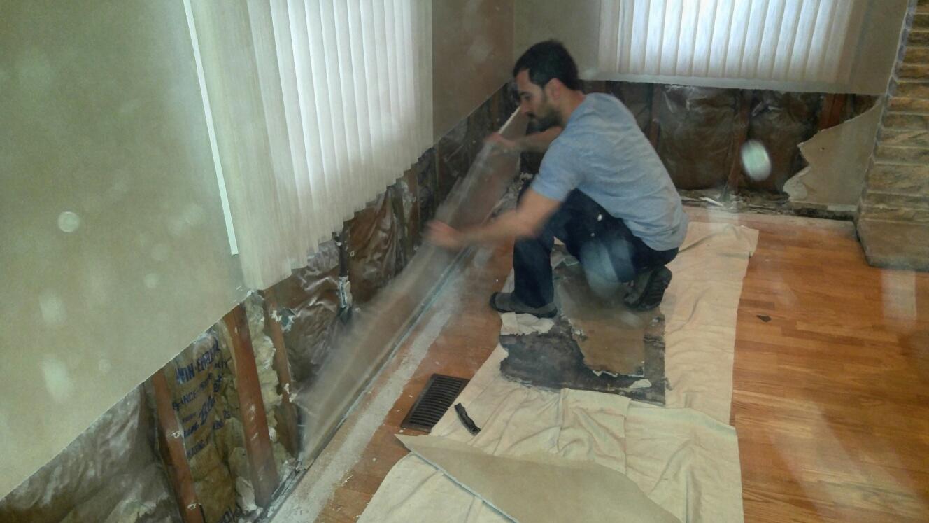 Our Mold Removal Services Extensive mold damages to sheetrock in