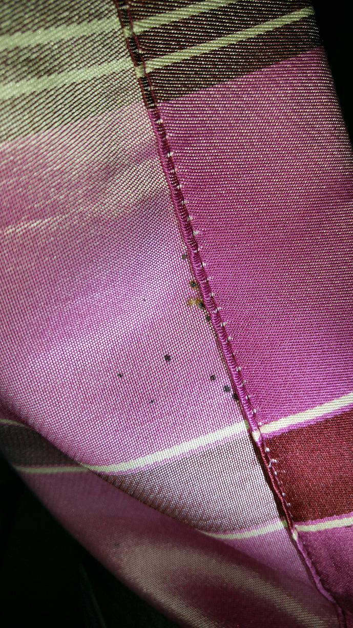 Pests We Treat Bed bug control and removal for senior housing in