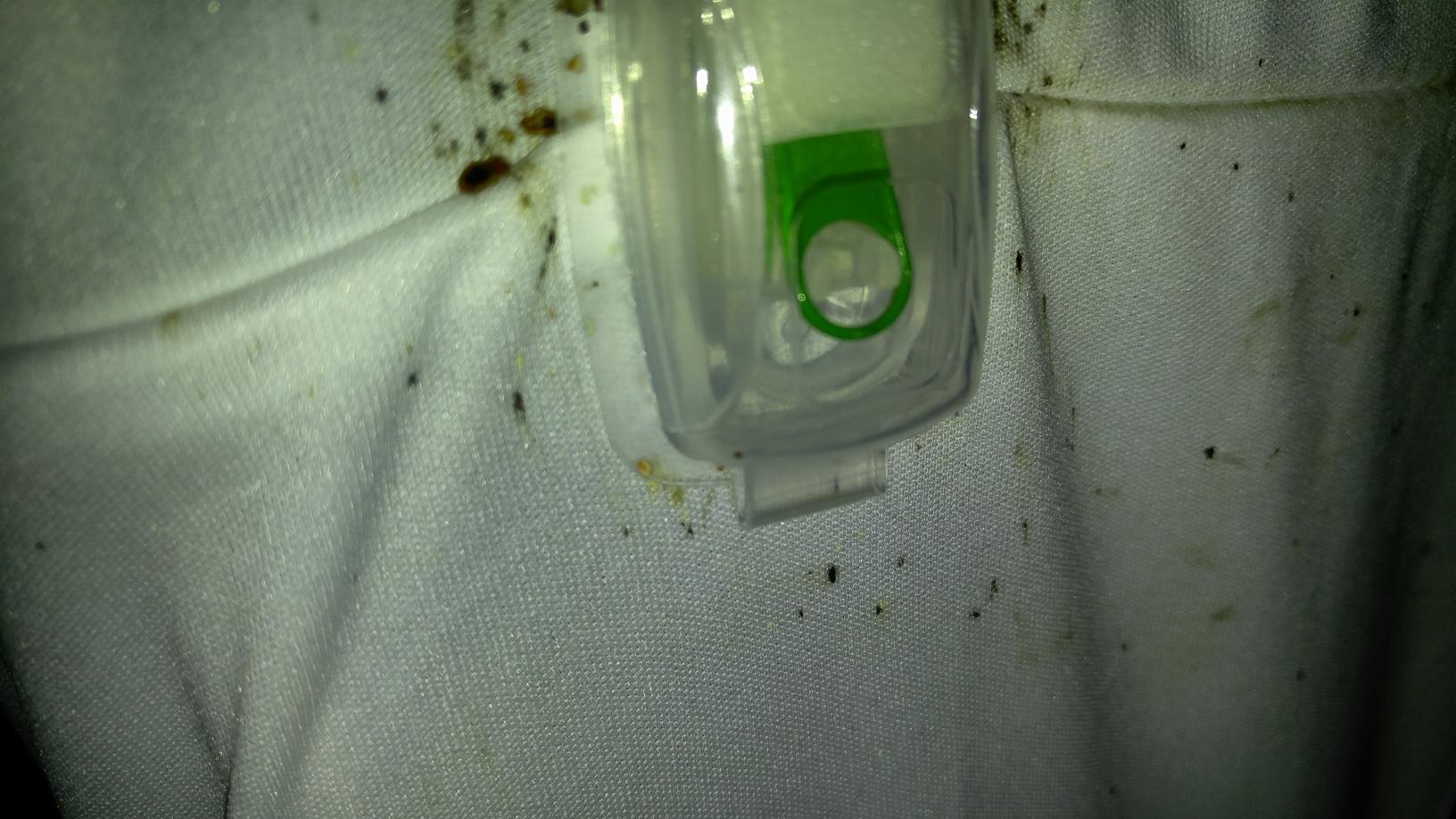 Pests We Treat Bed bug control and removal for senior housing in