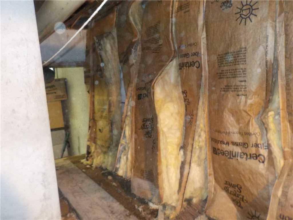 Crawl Space Repair Waterproofing a Recently Purchased Home in
