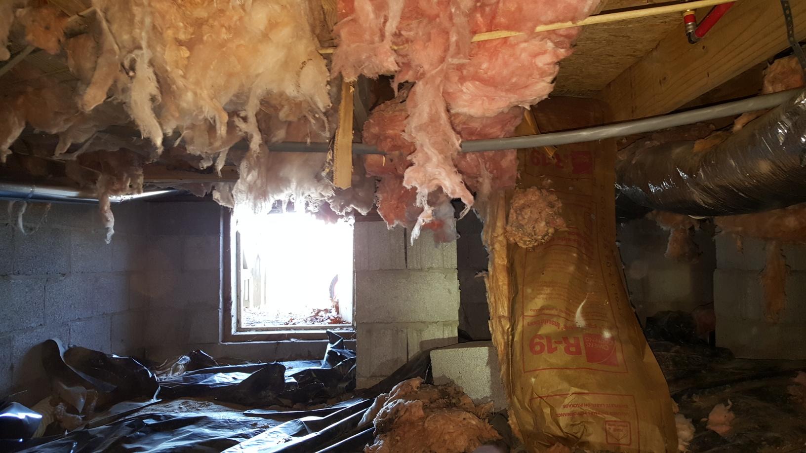 Crawl Space Repair CleanSpace in Clarksville, TN Poor Insulation