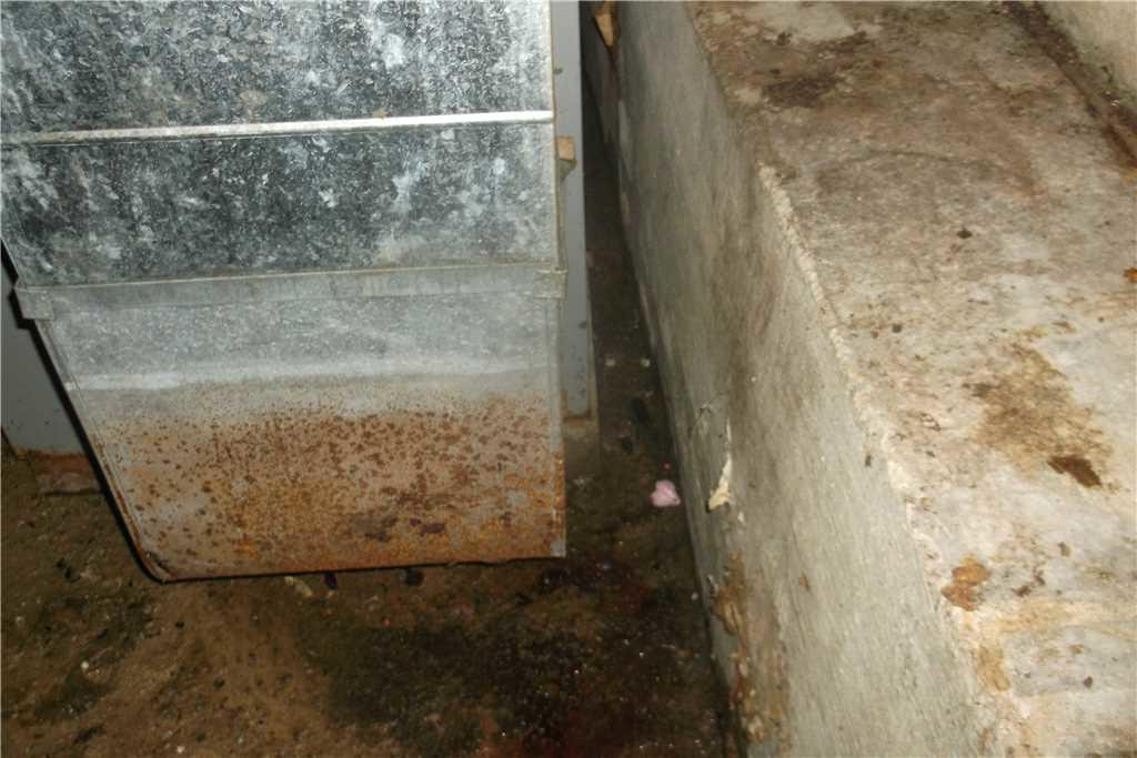 Basement Waterproofing Very Wet Charlevoix, MI Basement Waterproofed