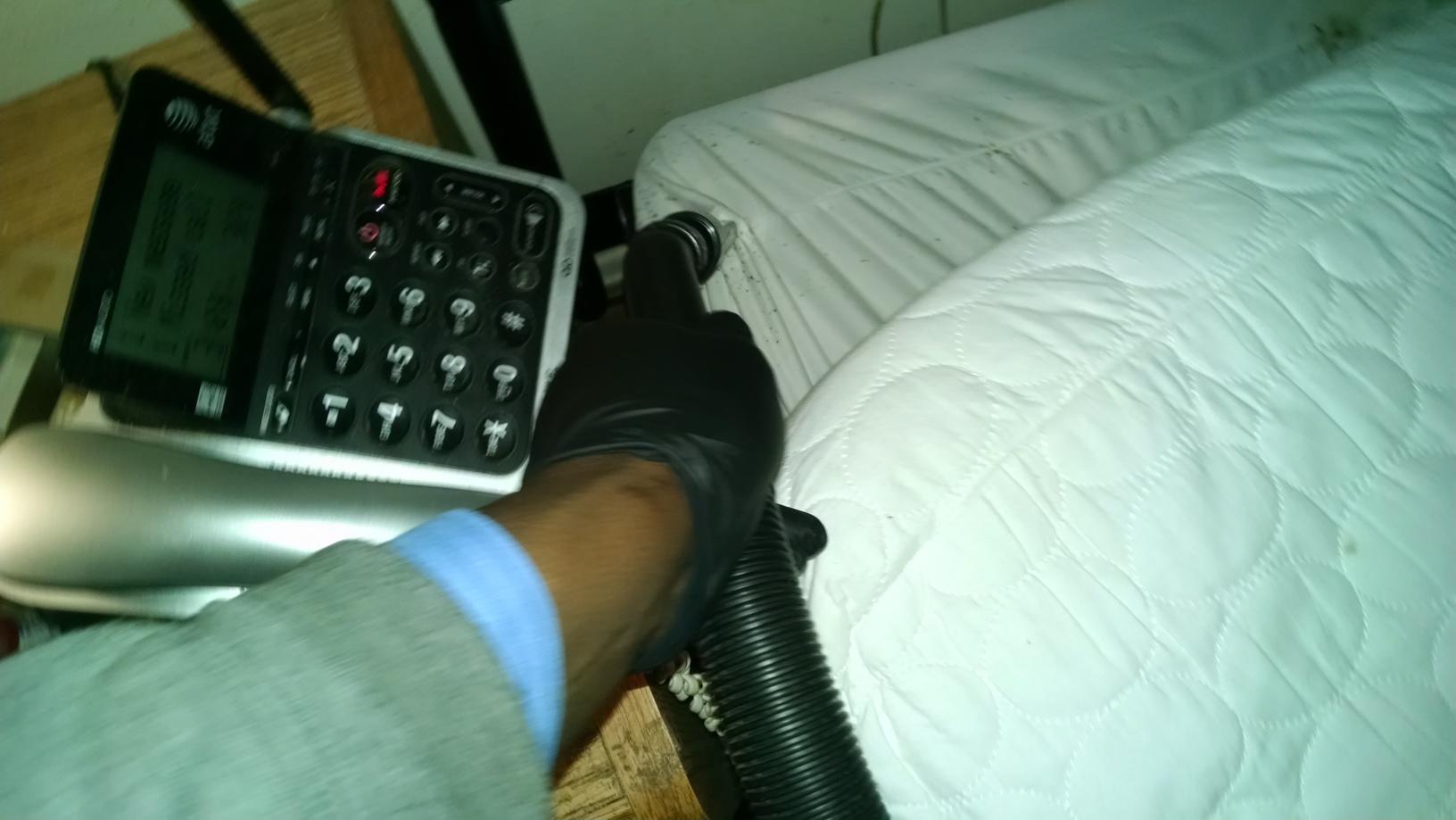 Bed bugs invade Pennington home Vacuuming bed bugs in Pennington, NJ