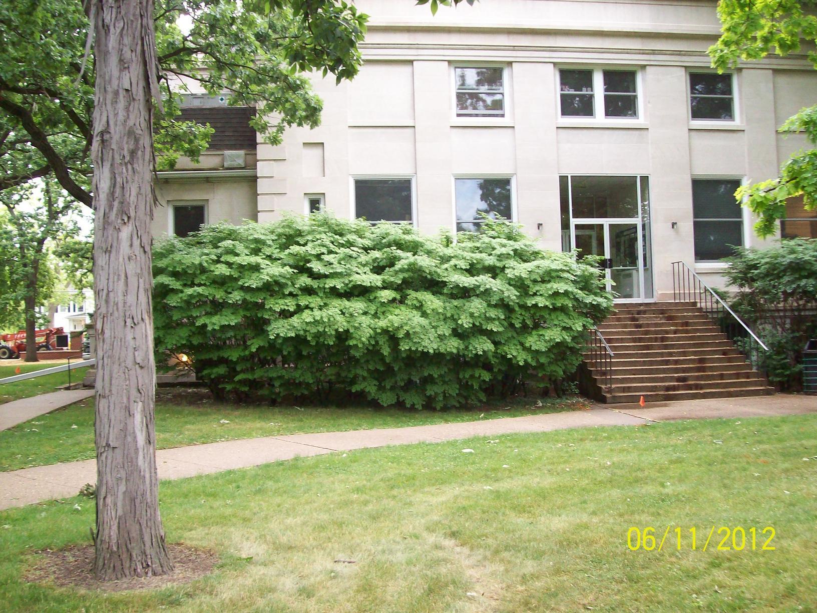 Beloit College Beloit College