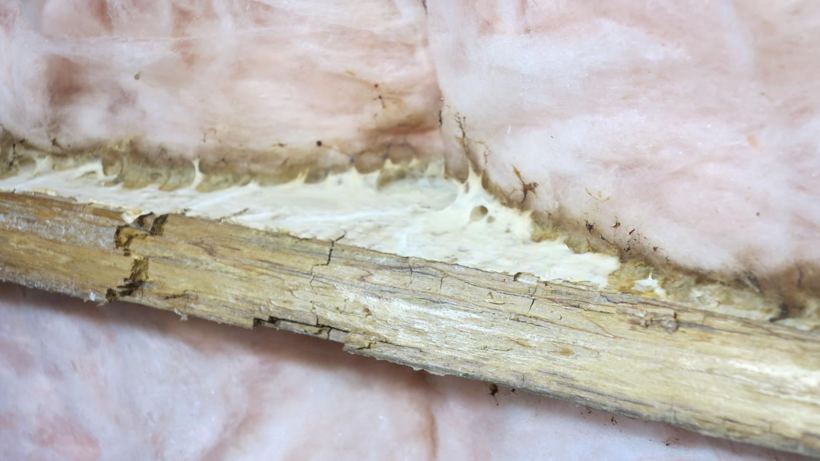 Foundation Repair Products - Why Your Crawl Space Should Be Properly ...