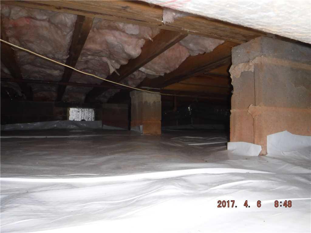 crawlspace cleanup