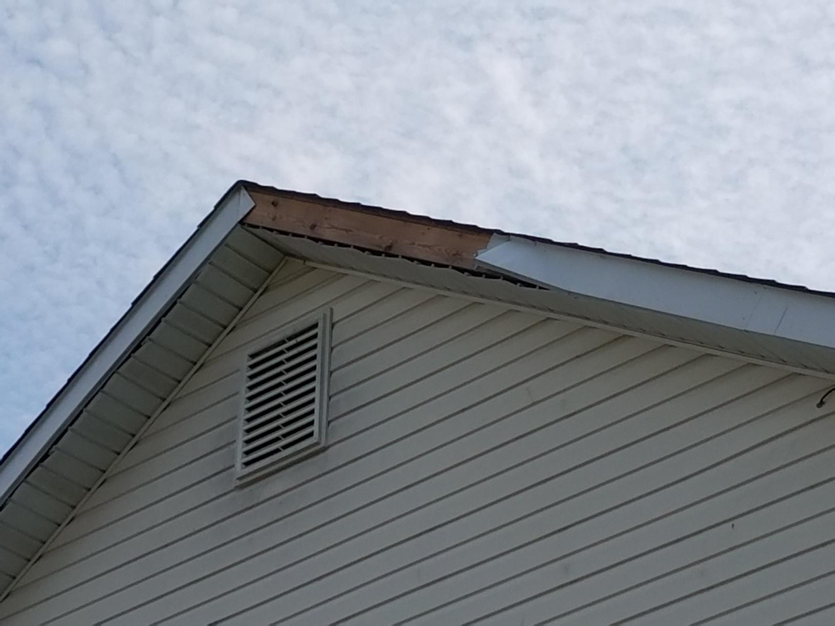 Bird In The Attic Humane Removal Of Birds In The Attic Of Your House