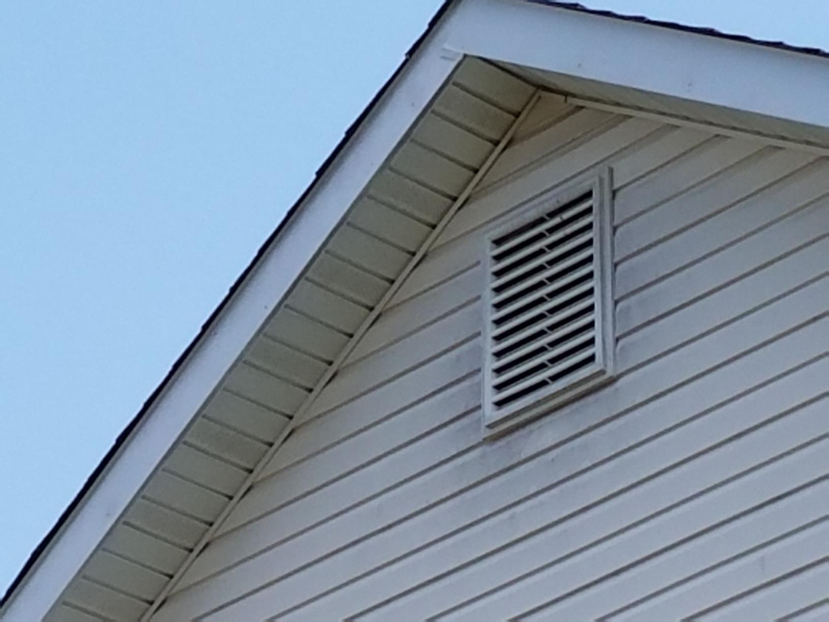 birds repaired wildlife soffitt keeps egypt removal soffit