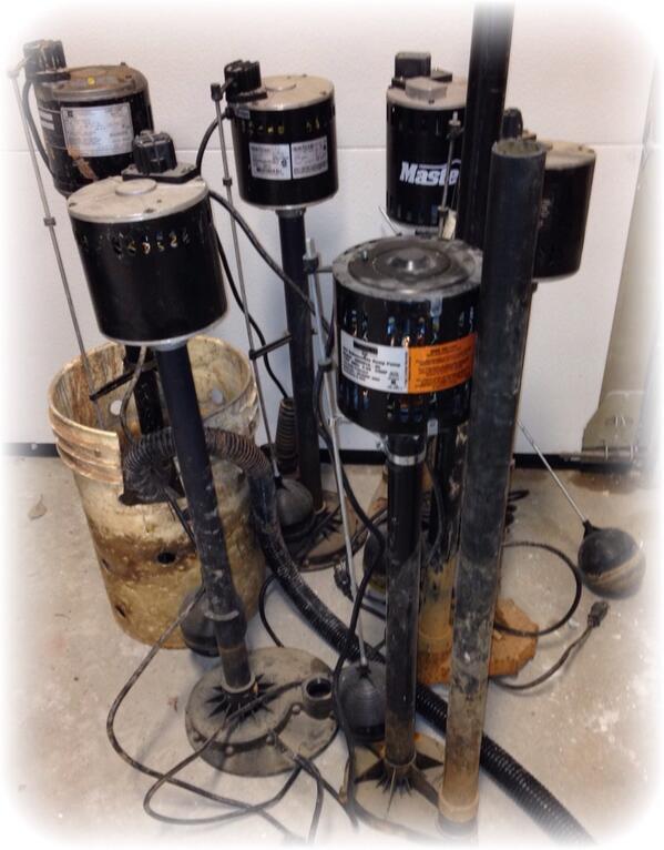Ridgeback Basement Systems Sump Pumps Pedestal Pumps