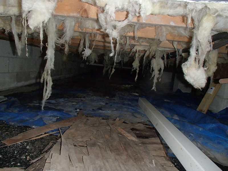 Crawl Space Repair Encapsulation of a Crawl Space in Ocean View, DE