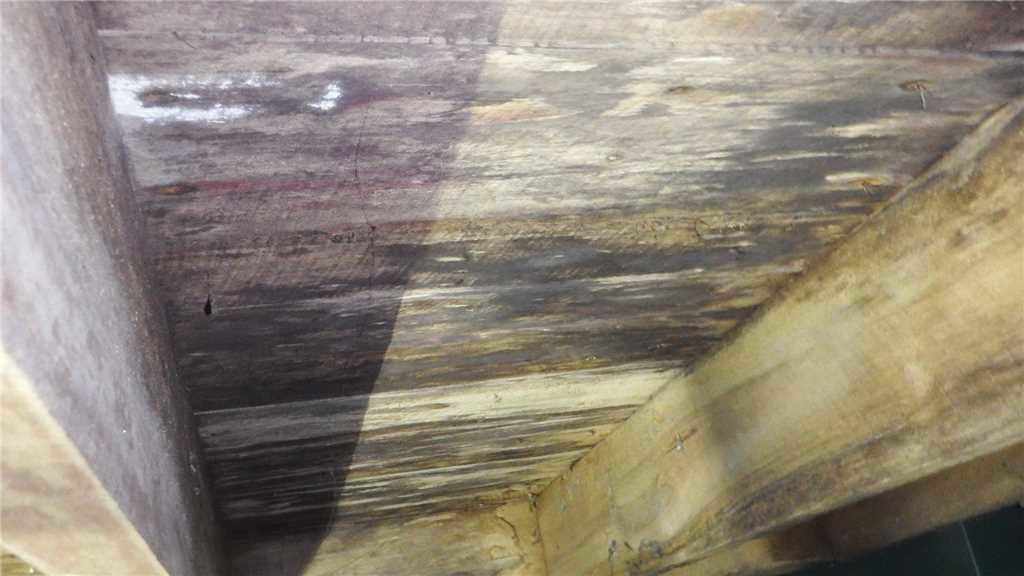 crawl space moisture affects materials showing building its repair