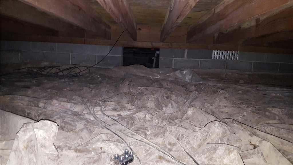 Mold and Moisture Issues in Salem, IL Crawl Space Moldy, Wet Crawl