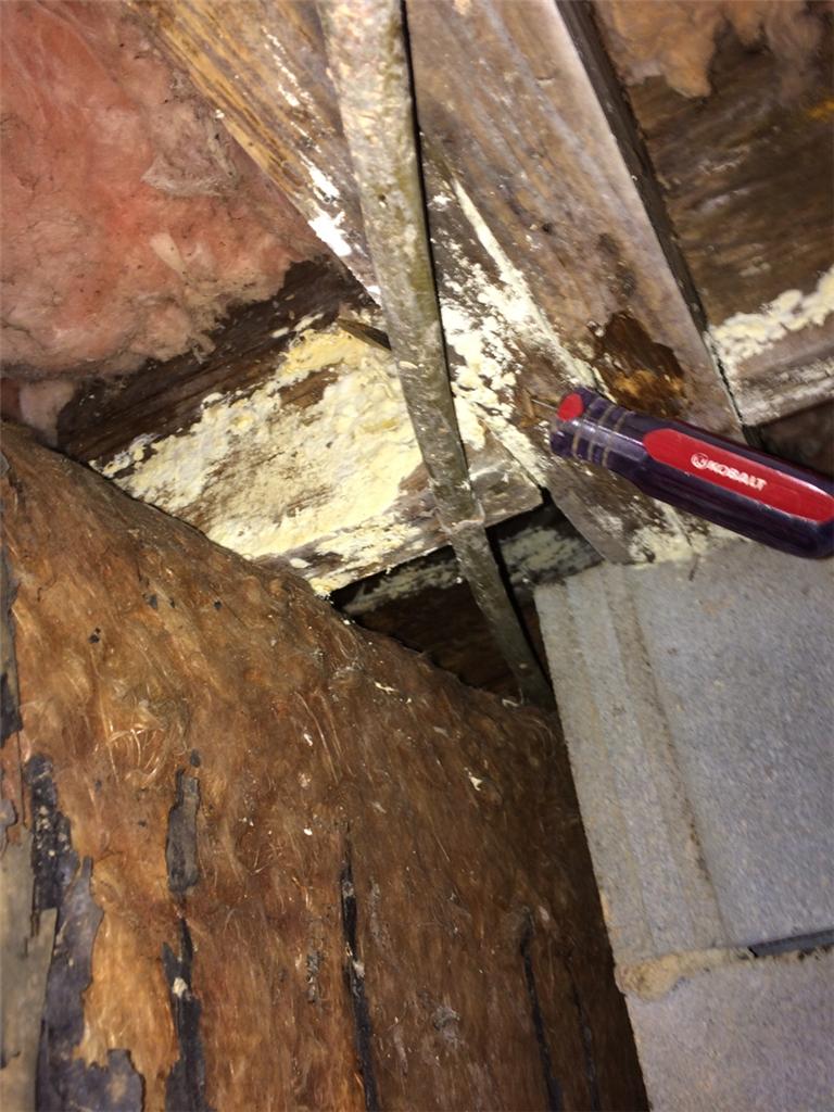 Foundation Repair Structural Repair in Norwood, NC Moldy & Rotted Wood