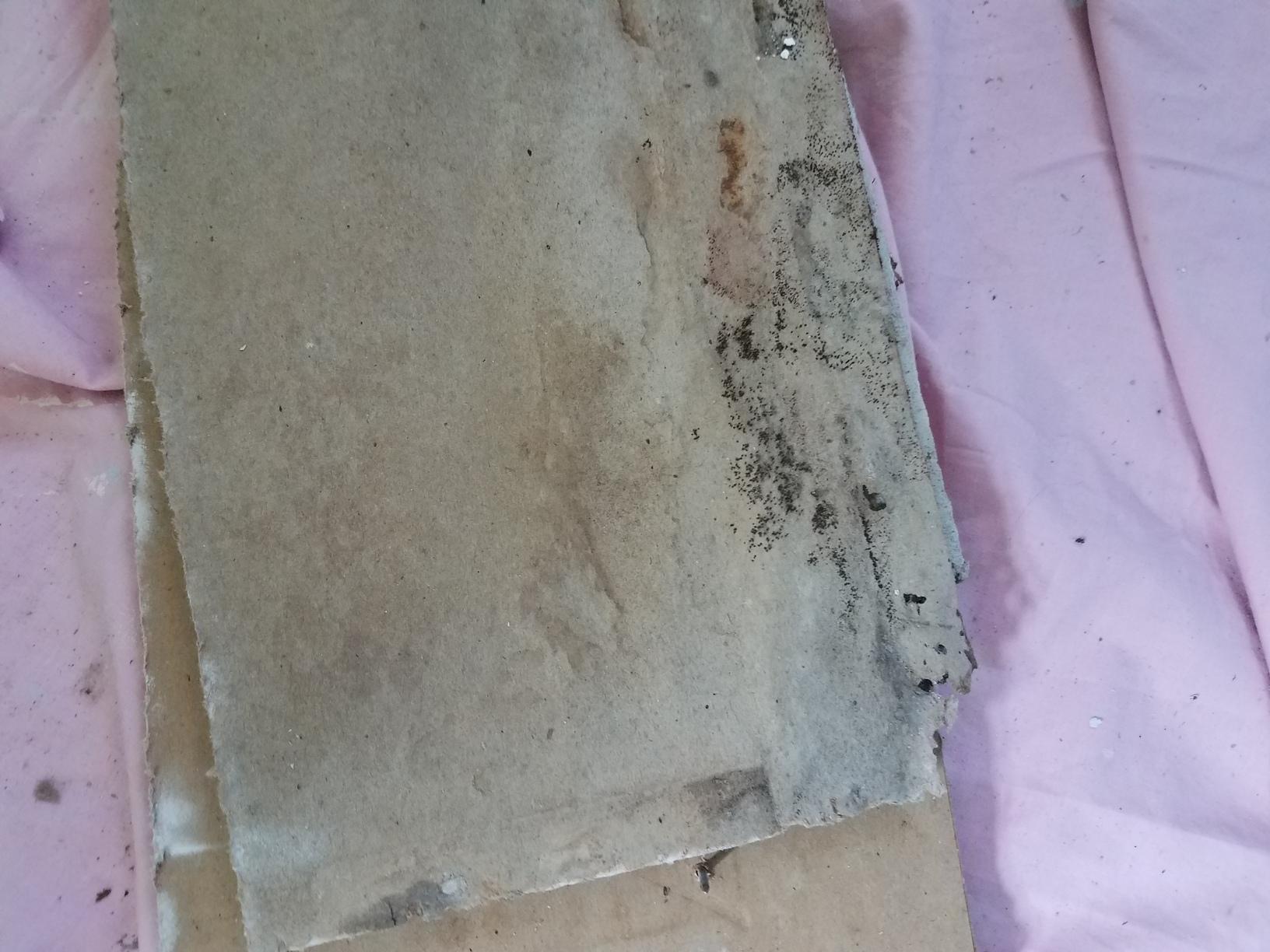 Our Mold Removal Services Mold removed in Little Silver, NJ bedroom