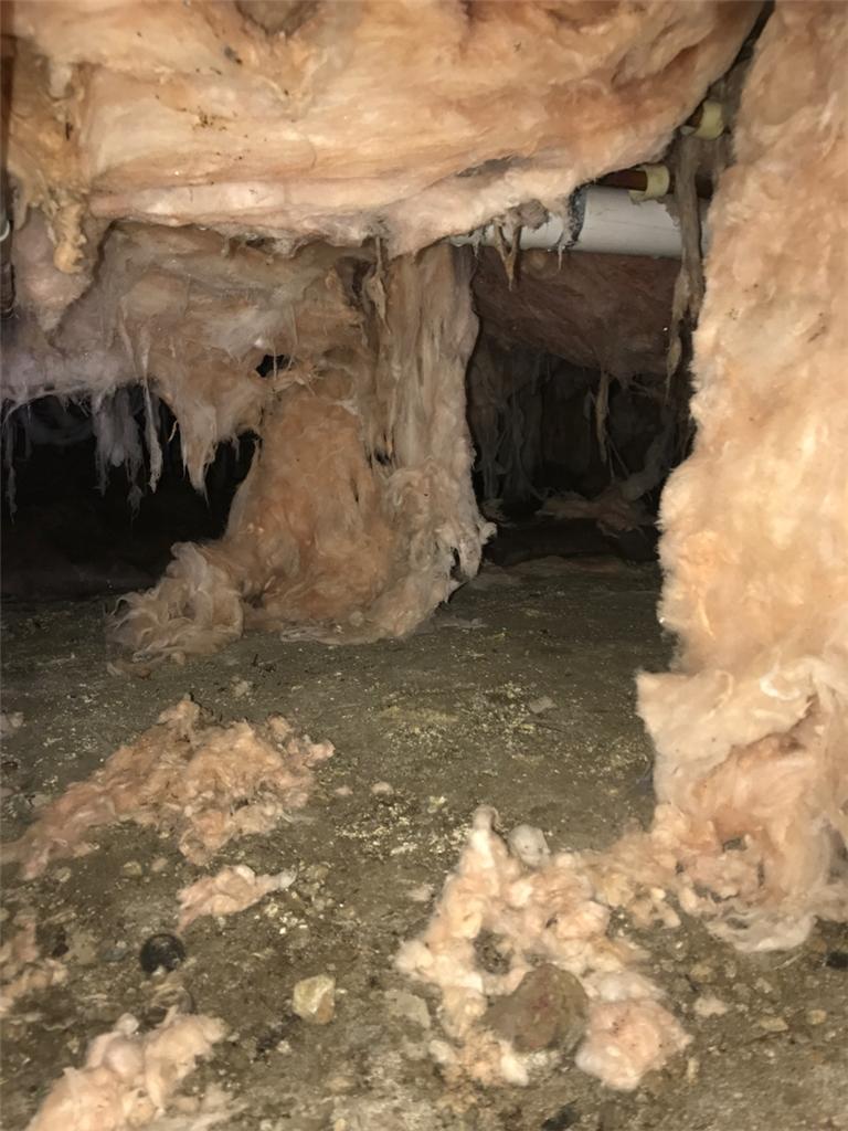 Crawl Space Repair Crawl Space Drain Installation in Mattapoisett, MA