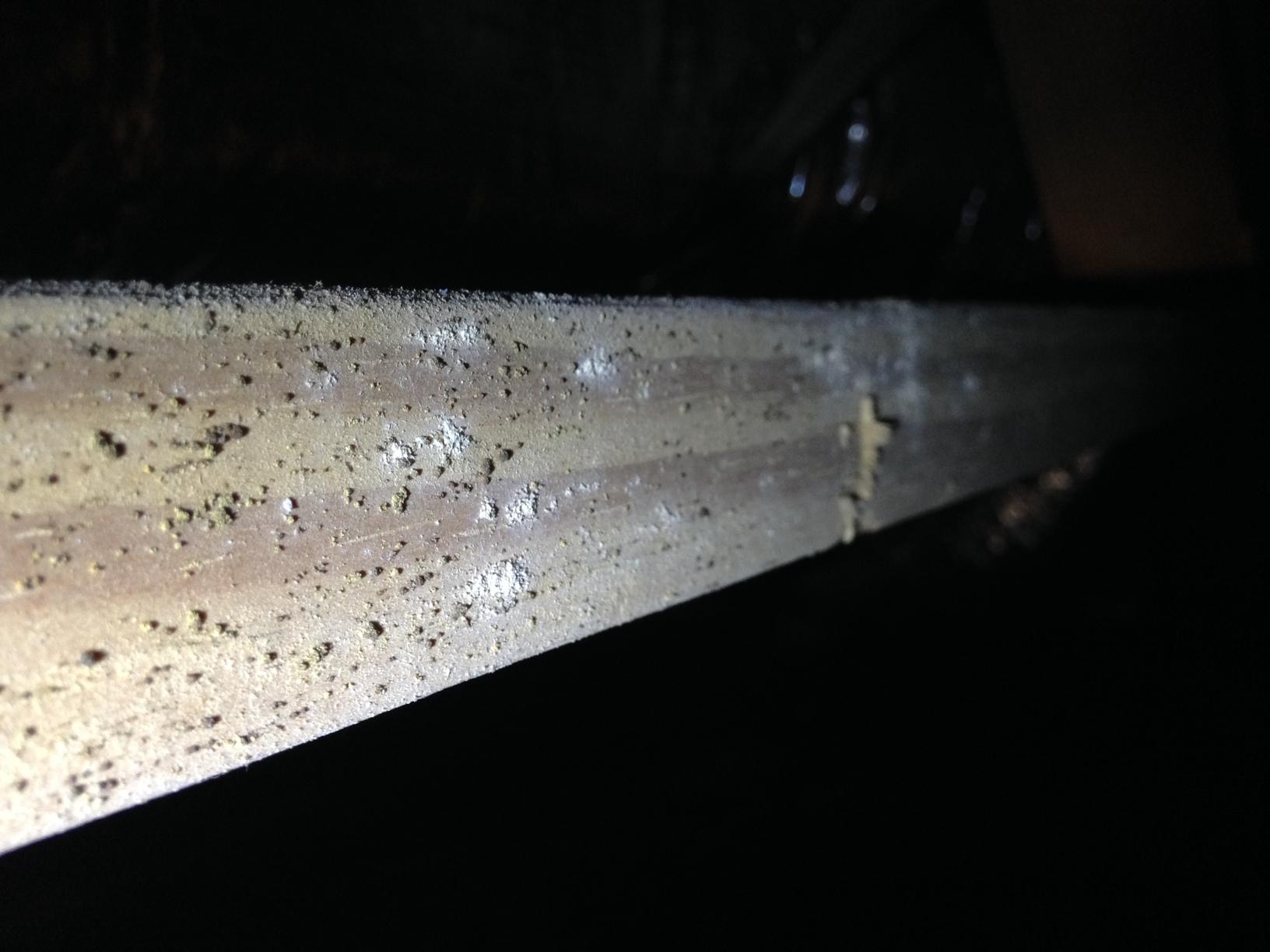 Crawl Space Repair Mold & Fungus in Brentwood, TN