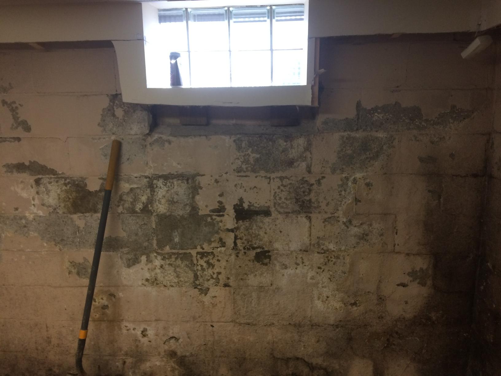Basement Waterproofing Waterproofing in Monaca, PA