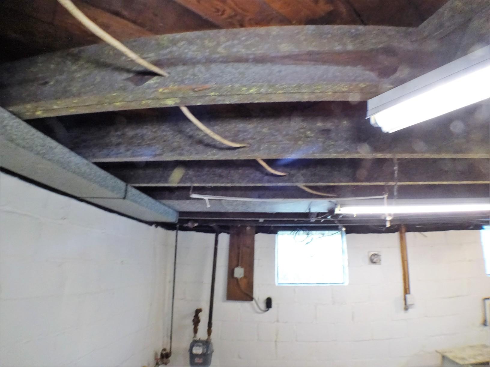 Mold Removal Pittsburgh, PA Moldy Floor Joist Mold