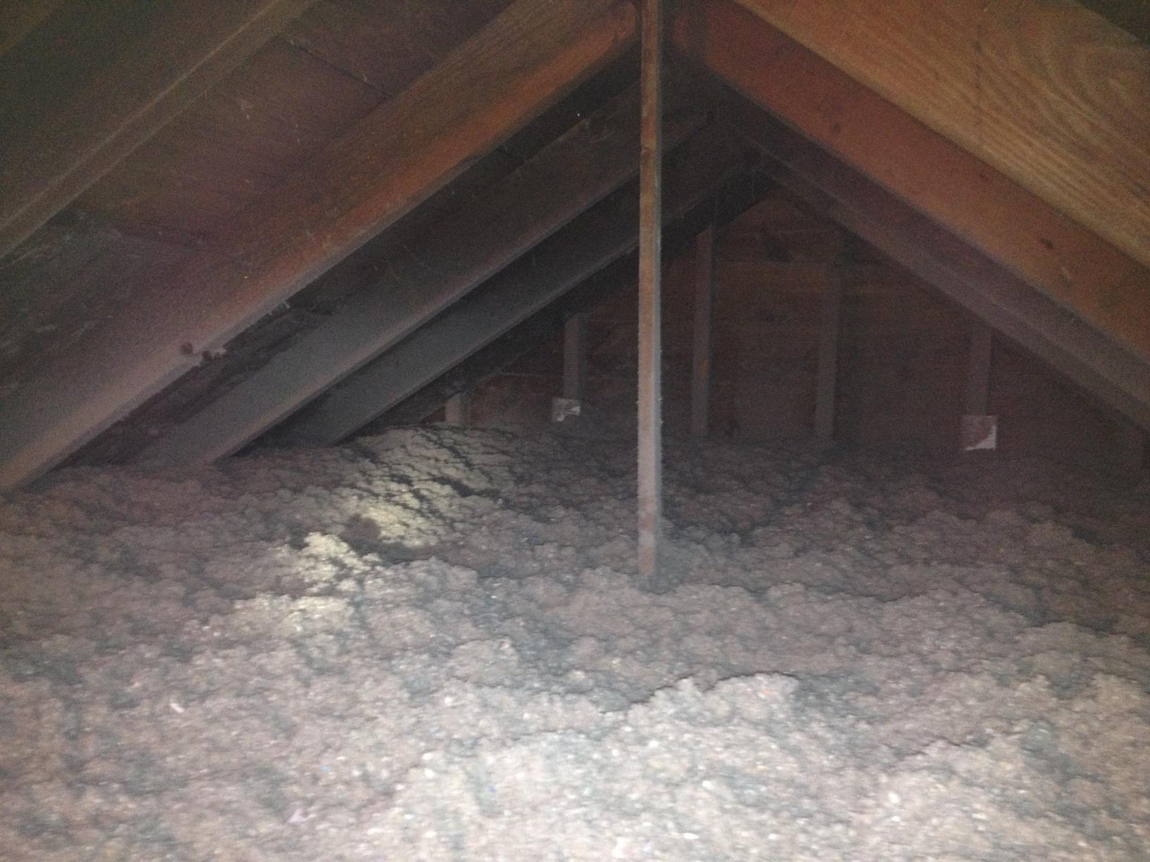 Insulation Services Cellulose Attic Insulation in Manasquan, NJ