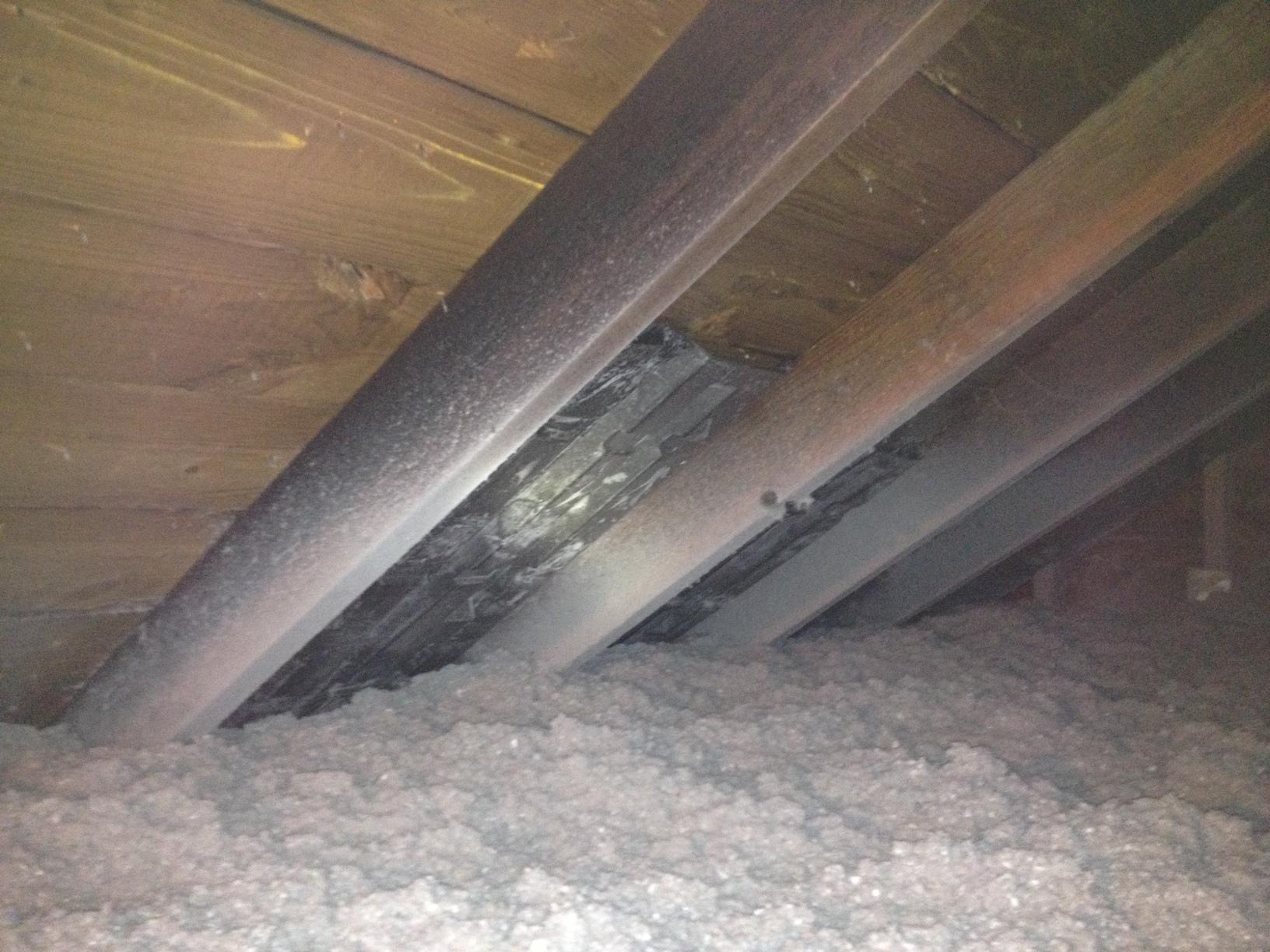 Cellulose Attic Insulation in Manasquan, NJ Soffit Vents Installed