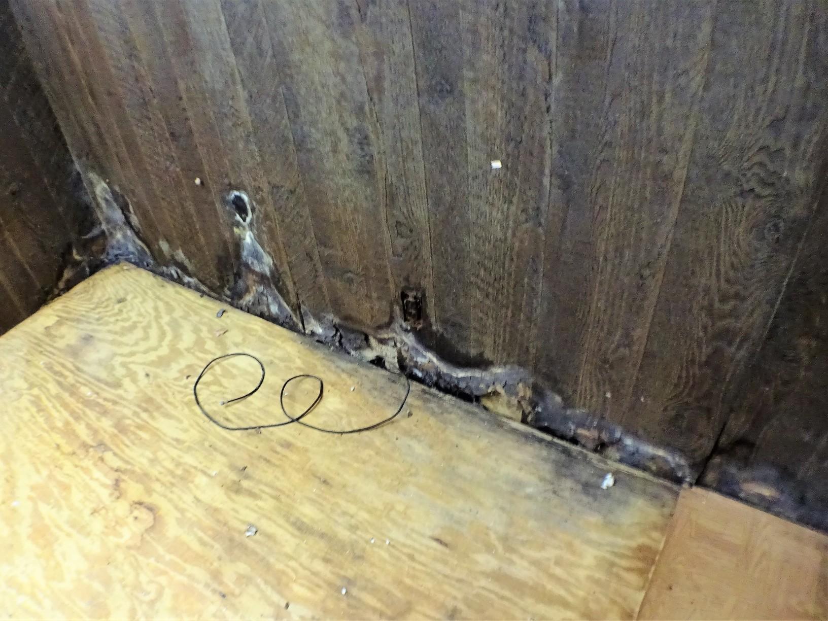 Mold Removal Mold Remediation From Vacant House In Weirton WV Mold removal mold remediation from vacant house in weirton wv