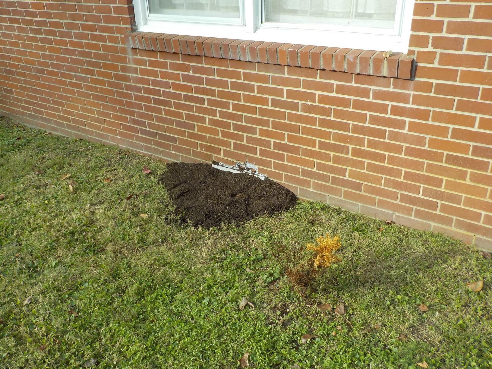 Crawl Space Repair Dry Crawl Space in Clarksville TN Vents are Covered