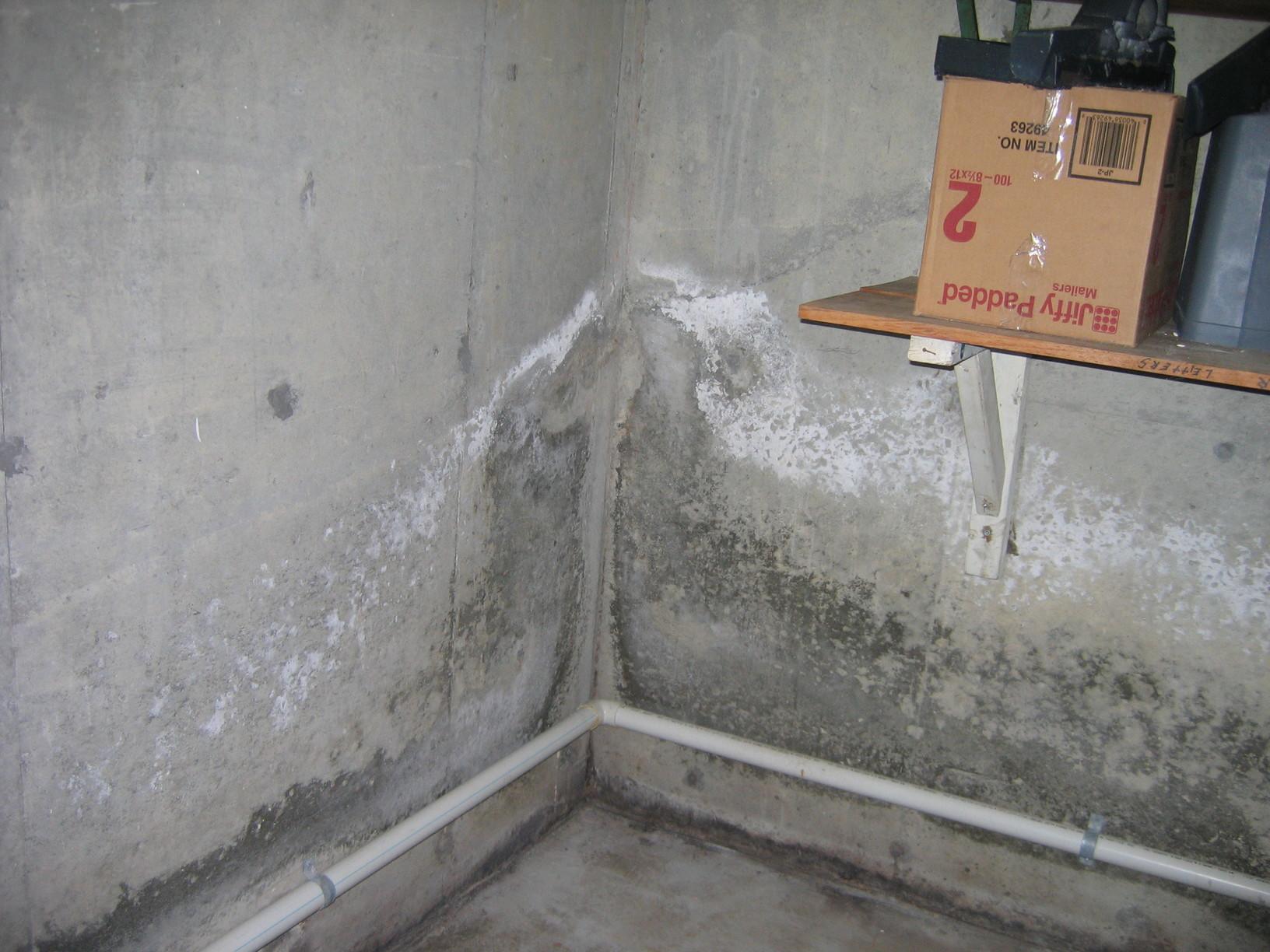 Basement Waterproofing Crawl space and basement problems to look for