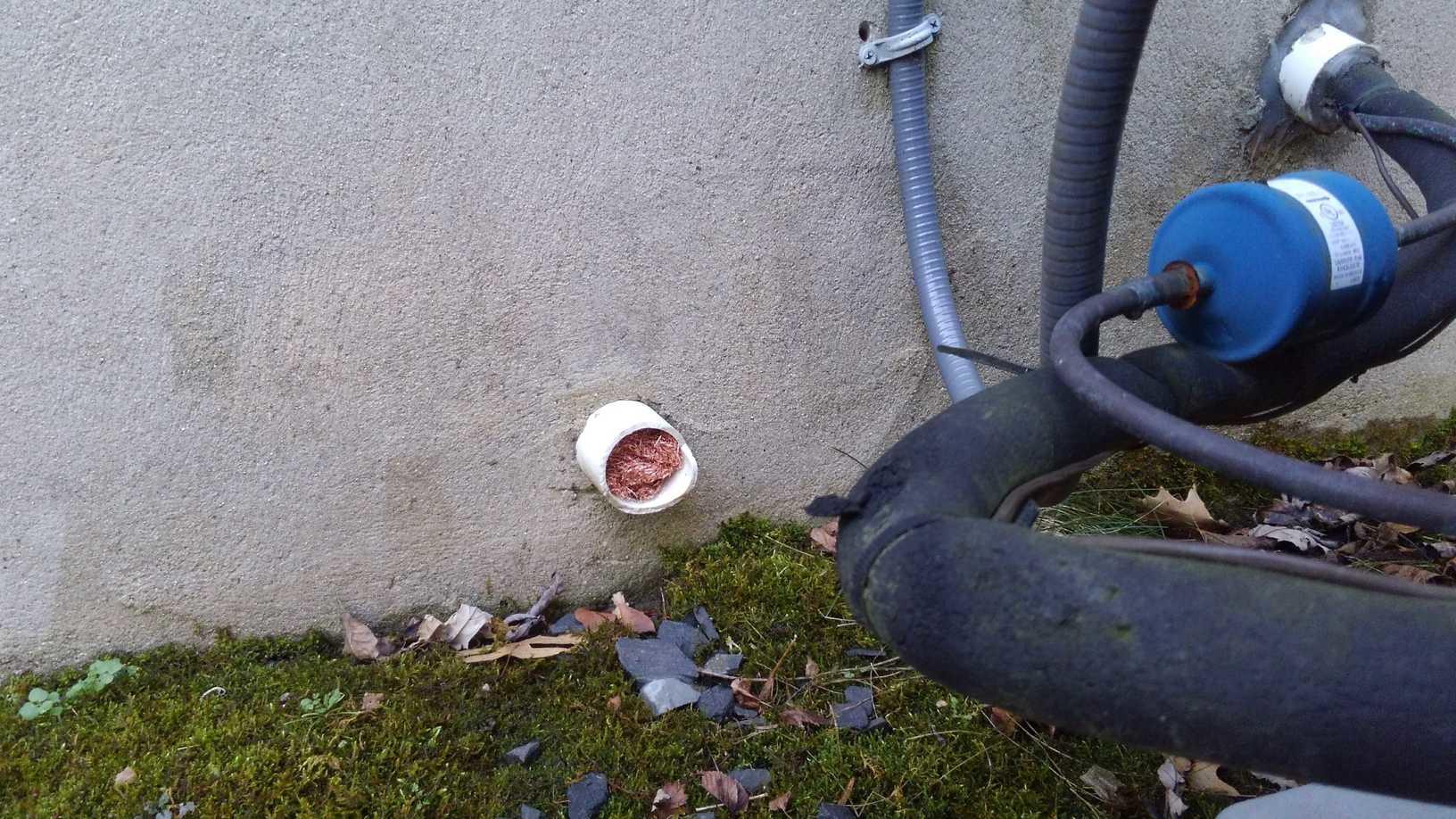 Pests We Treat Mice find easy entry into Middletown, NJ home Mice