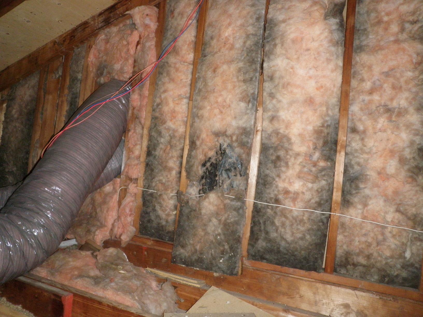 Home Insulation Services Batted Insulation from Yesteryear in