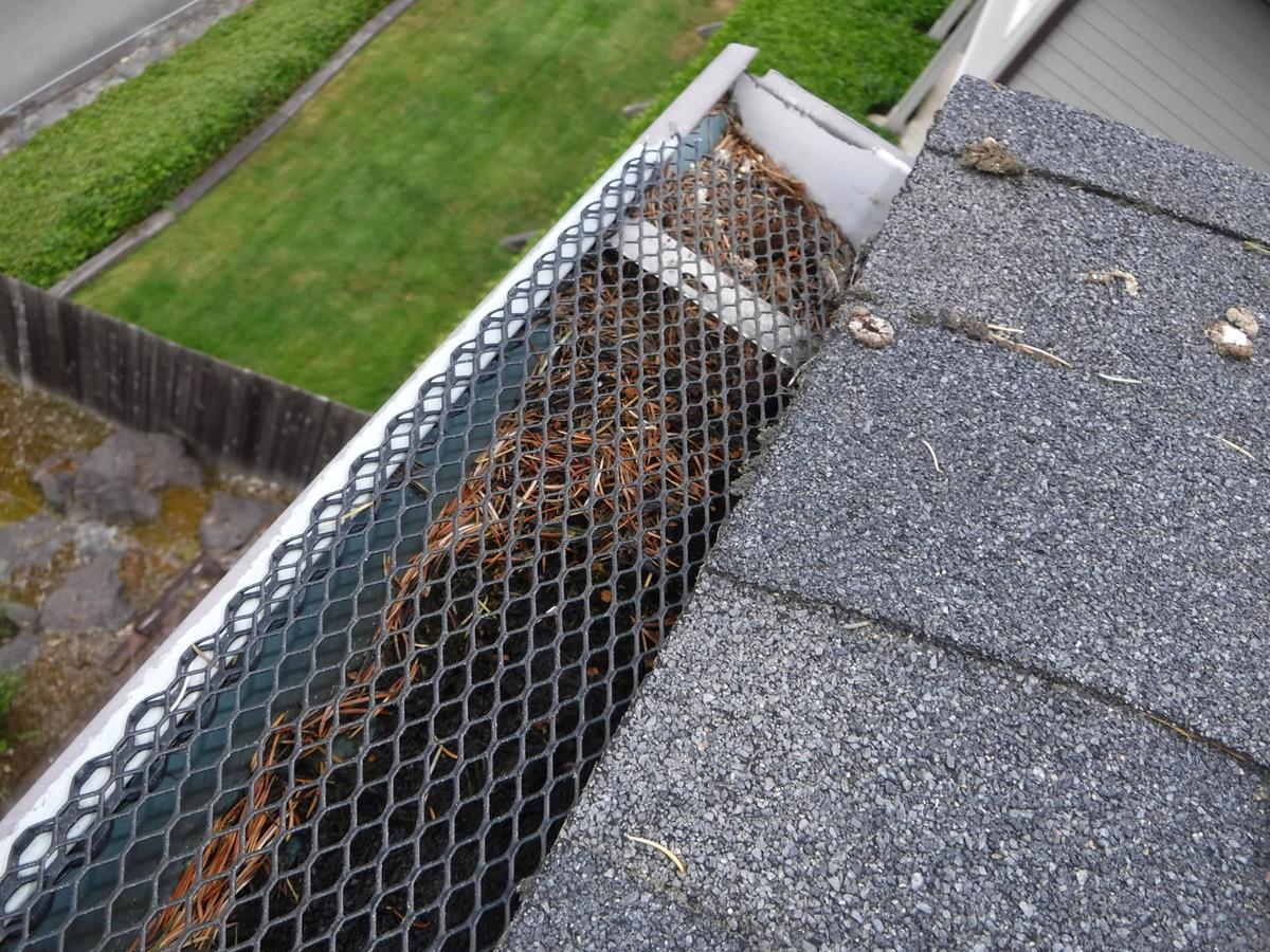 Gutter Guards Diy Gutter Guards Not Keeping The Needles Out In This Kenmore Wa Home Diy Gutter System Not Keeping Needles Out
