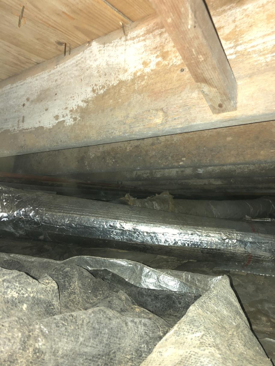 Mold Remediation How to Spot Mold in Your Owensboro, KY Crawl Space