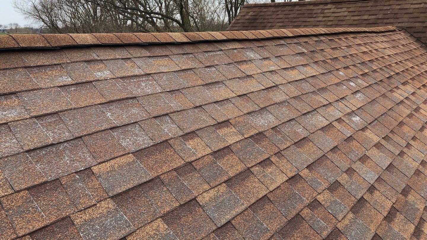 Shingle Delamination in Pecatonica, IL Before Photo