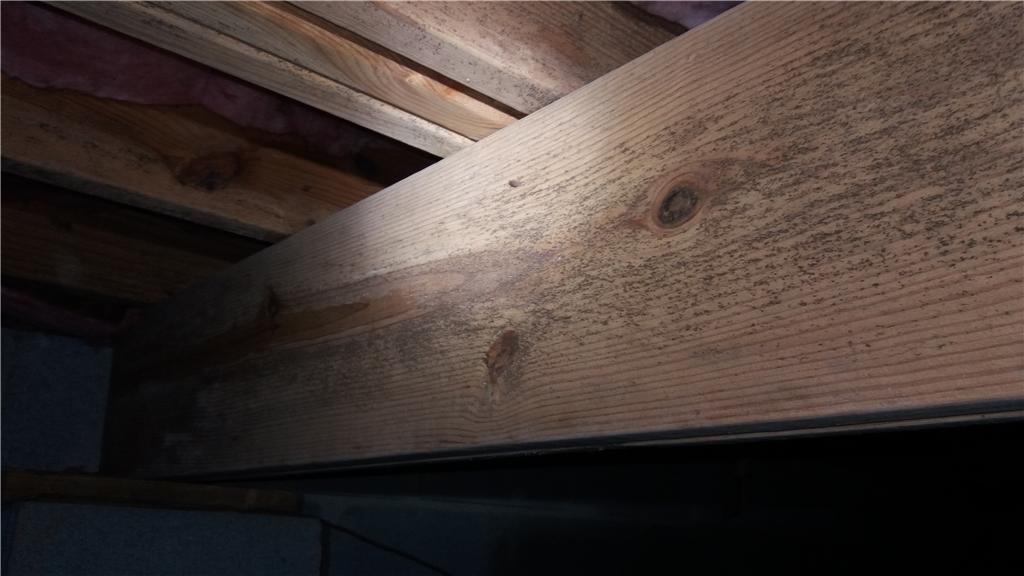 Moldy Crawlspace in Simpsonville, SC Has CleanSpace Encapsulation