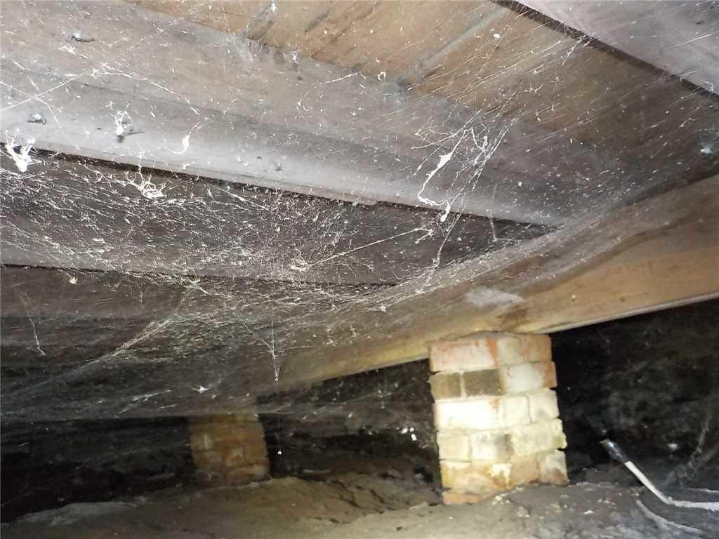 Crawl Space Repair Hudsonville, MI Crawl Space is Encapsulated Unwanted Spiders Invaded This