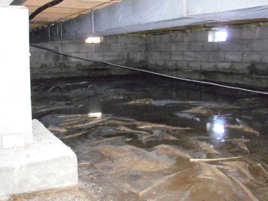 Belleville Il Crawl Space Waterproofed Water Standing
