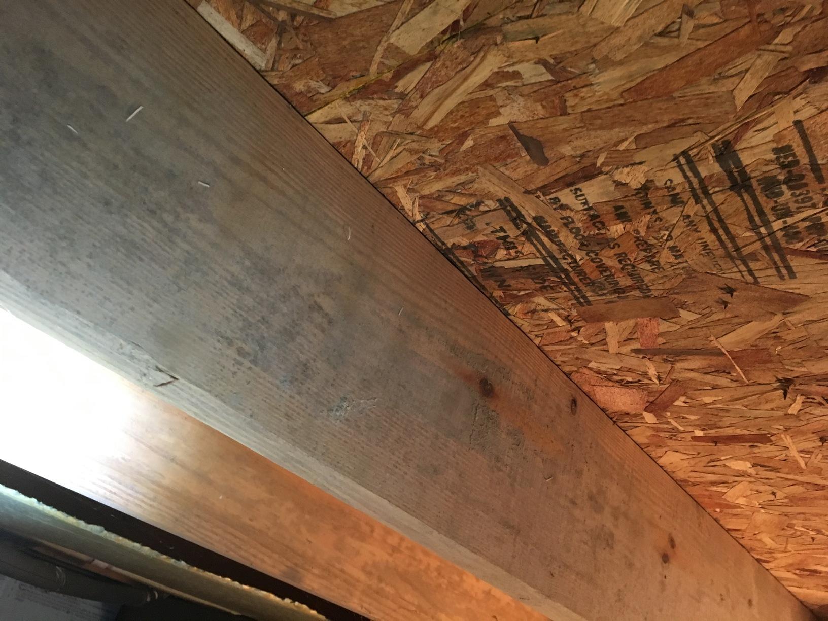 Crawl Space Repair Mold Free Crawl Space in Princeton, IN Mold Growing On Wood Framing