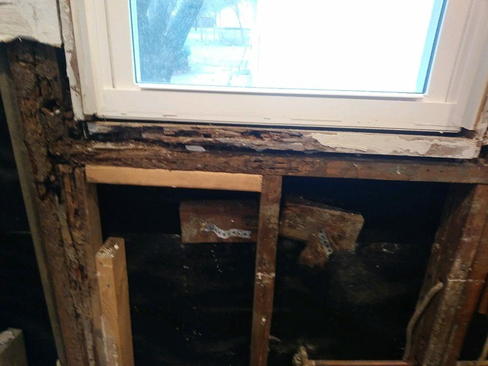 Olympic Restoration Systems Residential Mold Removal Mold and Wood Rot