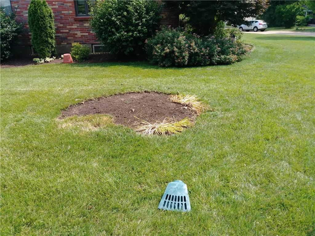 Basement Waterproofing Waterproofing in Webster Groves, MO